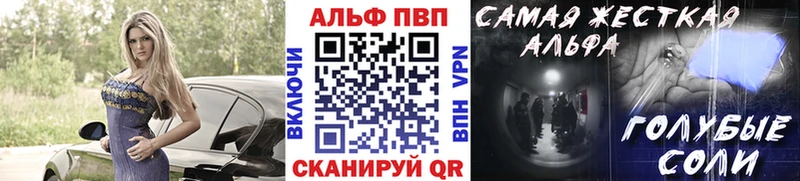 где найти   Сясьстрой  A PVP крисы CK 