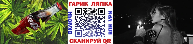 цена наркотик  Сясьстрой  Еда ТГК марихуана 