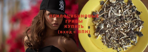 первитин Карпинск