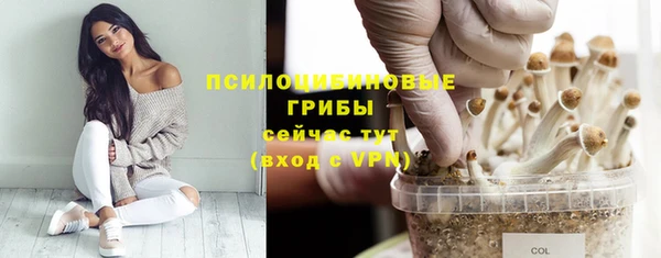 mix Касимов