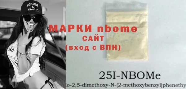 сатива Каменка