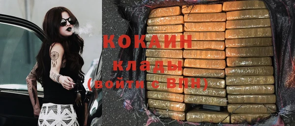 индика Каменногорск