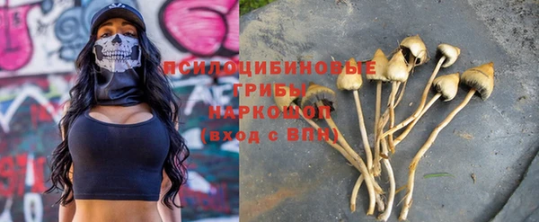первитин Карпинск
