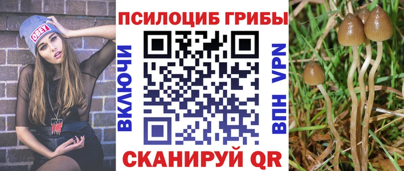 Псилоцибиновые грибы ЛСД  ссылка на мегу ССЫЛКА  Сясьстрой  где купить наркоту 