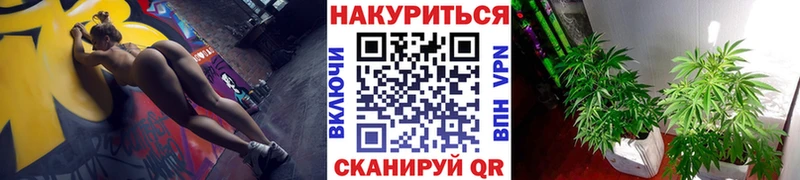 Бошки Шишки план  kraken tor  Сясьстрой  купить  